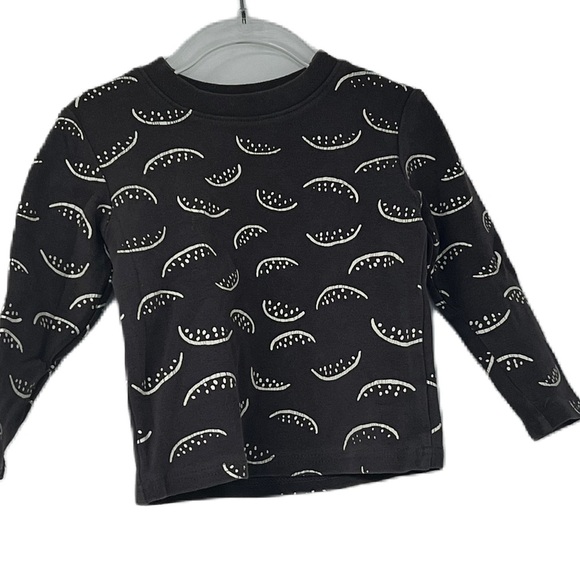Blue cici toddler watermelon gray sweatshirt size 2T - Picture 1 of 8